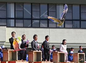 Crested ibises released into wild on Japan's main island