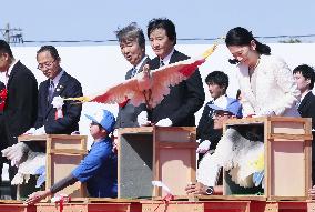 Crested ibises released into wild on Japan's main island
