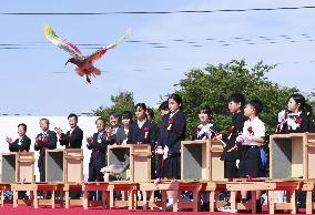 Crested ibises released into wild on Japan's main island