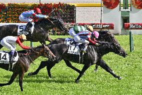 Horse racing: Japanese Derby