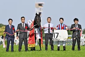 Horse racing: Japanese Derby