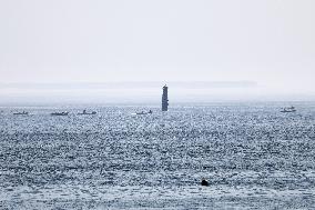Kelp harvesting season begins in Hokkaido