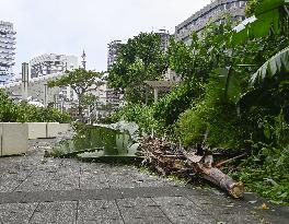 Powerful typhoon hits Japan