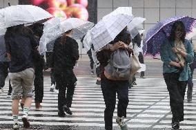 Powerful typhoon hits Japan