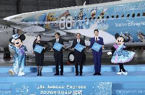 JAL plane commemorating Tokyo DisneySea's 25th anniversary