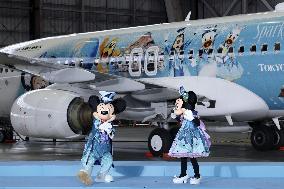 JAL plane commemorating Tokyo DisneySea's 25th anniversary