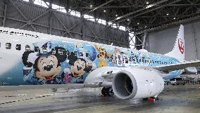 JAL plane commemorating Tokyo DisneySea's 25th anniversary