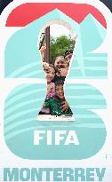 Football: 2026 World Cup