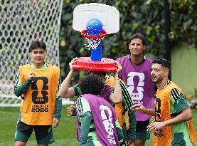 Football: 2026 World Cup