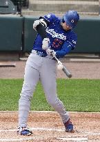 Baseball: Dodgers vs. White Sox
