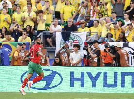 Football: 2026 World Cup