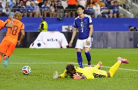 Football: 2026 World Cup