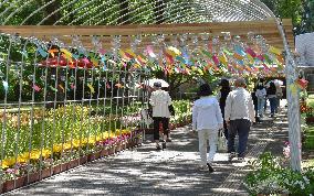 Wind bells at flower park in western Japan