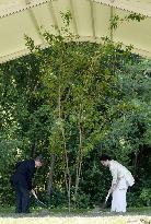 Japan's imperial couple plant cherry tree near Amsterdam