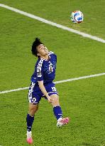 Football: 2026 World Cup