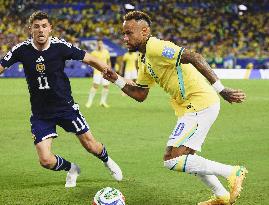 Football: 2026 World Cup