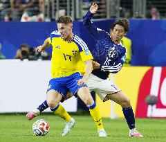 Football: 2026 World Cup