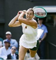 Tennis: Wimbledon championships