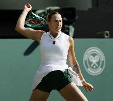 Tennis: Wimbledon championships