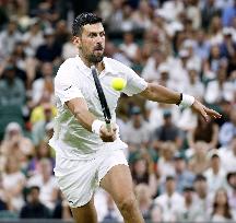 Tennis: Wimbledon championships