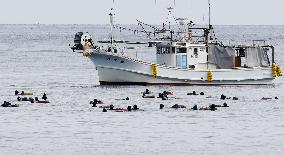 Seaweed harvesting season starts in central Japan