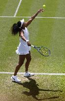 Tennis: Wimbledon championships