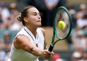 Tennis: Wimbledon championships