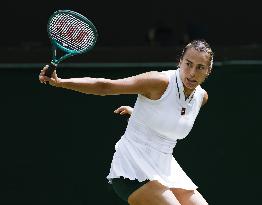 Tennis: Wimbledon championships