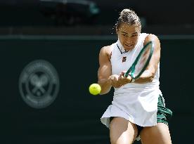 Tennis: Wimbledon championships