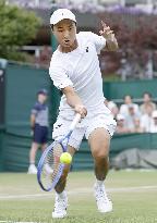 Tennis: Wimbledon championships