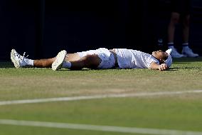 Tennis: Wimbledon championships