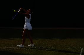Tennis: Wimbledon championships