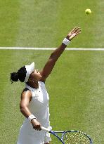 Tennis: Wimbledon championships