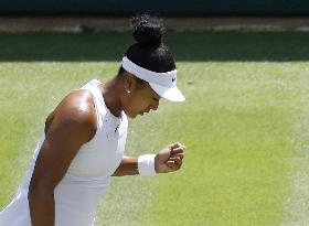 Tennis: Wimbledon championships