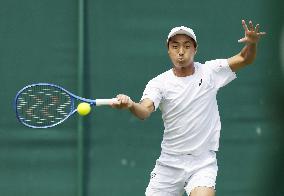 Tennis: Wimbledon championships