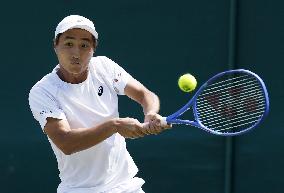 Tennis: Wimbledon championships