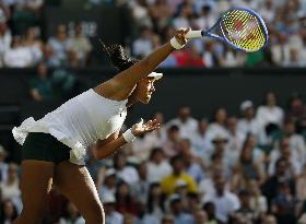 Tennis: Wimbledon championships