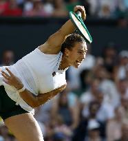 Tennis: Wimbledon championships