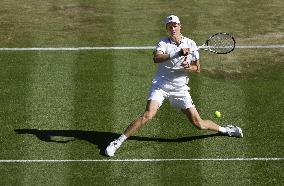 Tennis: Wimbledon championships