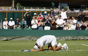Tennis: Wimbledon championships