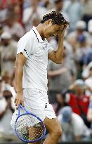 Tennis: Wimbledon championships