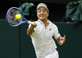 Tennis: Wimbledon championships