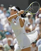 Tennis: Wimbledon championships