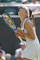 Tennis: Wimbledon championships