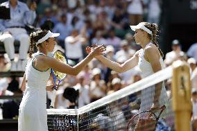Tennis: Wimbledon championships
