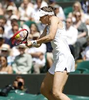 Tennis: Wimbledon championships