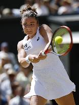 Tennis: Wimbledon championships