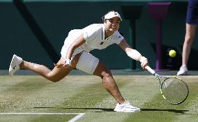 Tennis: Wimbledon championships