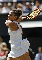 Tennis: Wimbledon championships