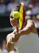 Tennis: Wimbledon championships